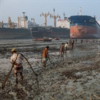 Ship Breaking Yard