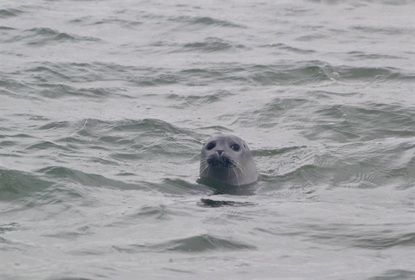 Waddenzee, Vlieland, Harlingen a tuleni