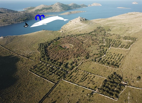 Velryba na Kornatech