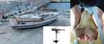 Stařec a moře a Torqeedo a Žirje
