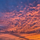 Divočáci vystřídali jachtaře, mrtvý Čech u Biogradu a lovci neloví sběrače oliv