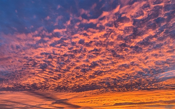 Divočáci vystřídali jachtaře, mrtvý Čech u Biogradu a lovci neloví sběrače oliv