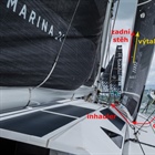 Trimování jednoduše - kosatka