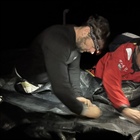 Bude to drama s vítězným koncem?