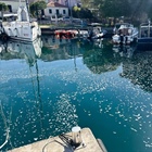 Je sobota, mycí den…