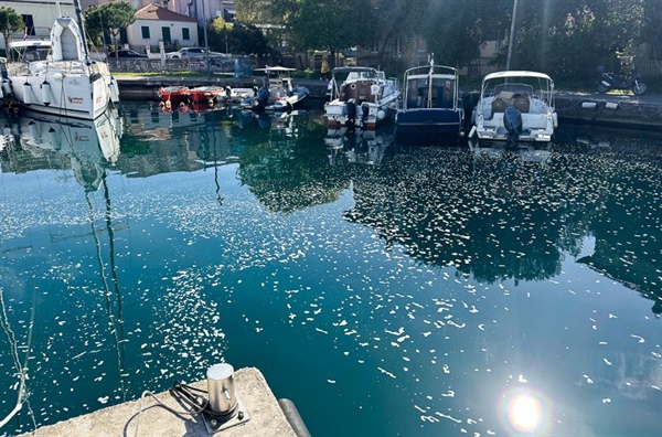 Je sobota, mycí den…