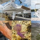 Kurz první pomoci na jachtě již zítra