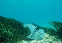 Foto Pavel Nesvadba