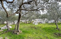 Foto Daniel Vodička