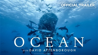 Oceán
